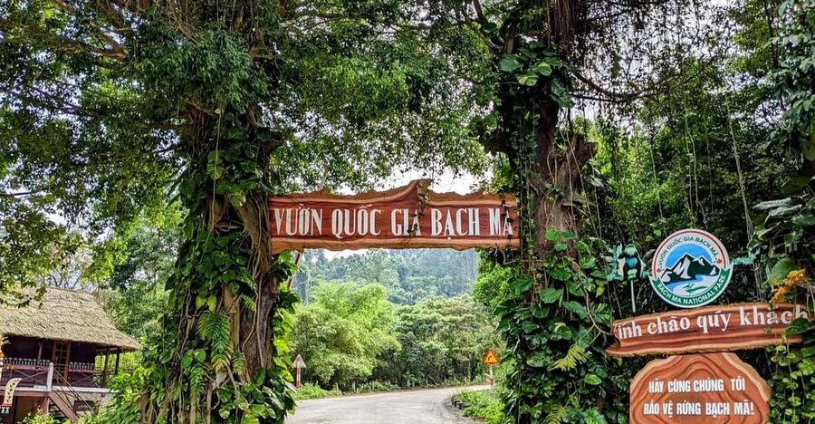 Bach Ma National Park Trekking Tour From Hue/Da Nang/Hoi An - Hai Vong Dai gives you the first big payoff