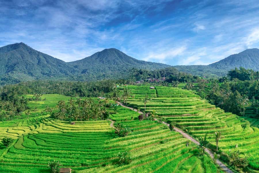 Bali: Jatiluwih Full-Day E-Bike and Trekking Tour - Key points to know before booking