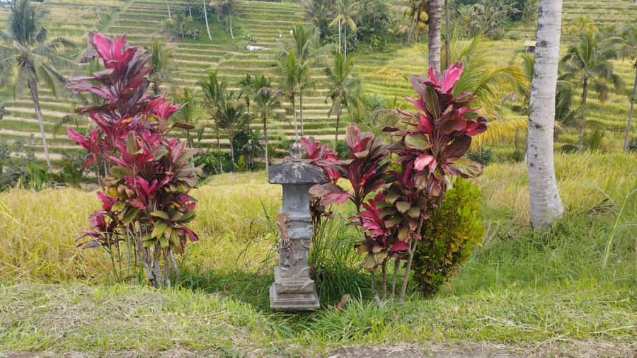 Bali: Jatiluwih Full-Day E-Bike and Trekking Tour - Why Jatiluwih makes a good day trip