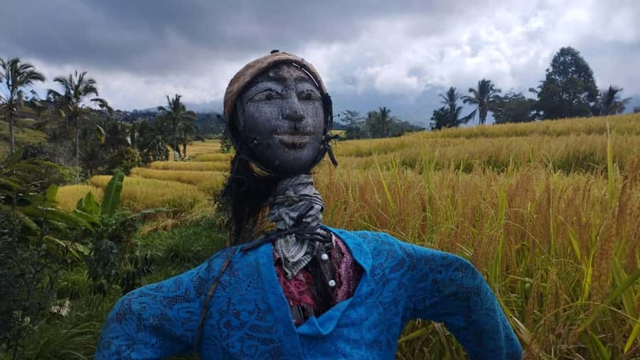 Bali: Jatiluwih Full-Day E-Bike and Trekking Tour - Village roads, bamboo, and everyday farm life