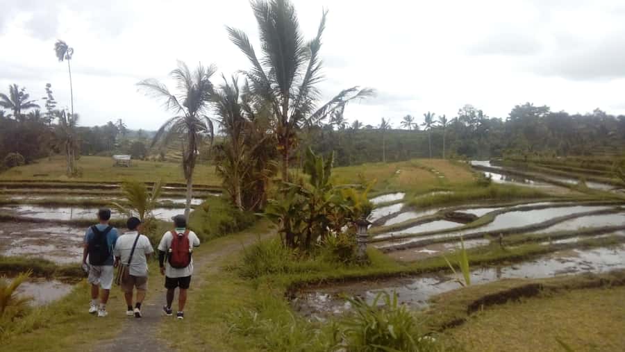 Bali: Jatiluwih Full-Day E-Bike and Trekking Tour - What the guides add to the day