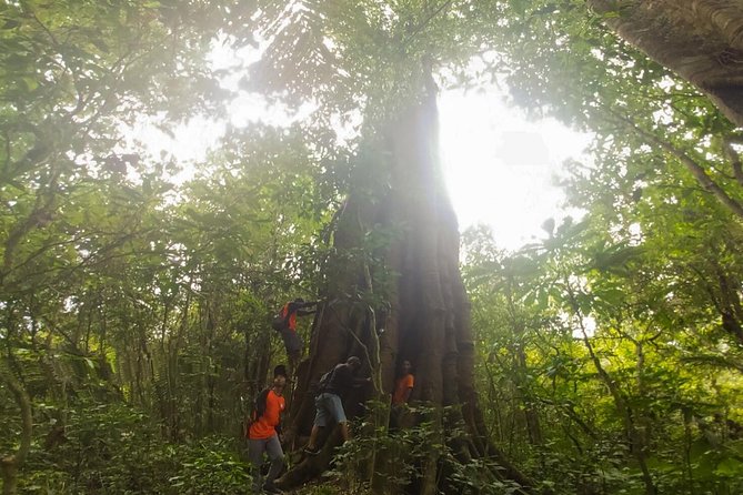 Bali Jungle Trekking and Lake Canoeing Tour - Canoeing across the twin lakes