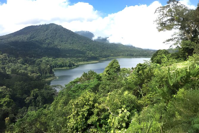 Bali Jungle Trekking in Beautiful Rainforest - Why this northern Bali day makes sense