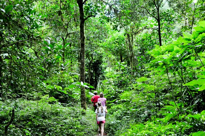 Bali Jungle Trekking in Beautiful Rainforest - Buyan Lake and Bali’s twin-lake views