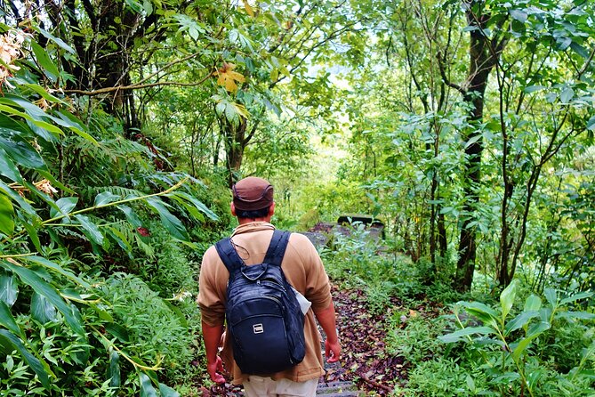 Bali Jungle Trekking in Beautiful Rainforest - The traditional canoe ride on Tamblingan