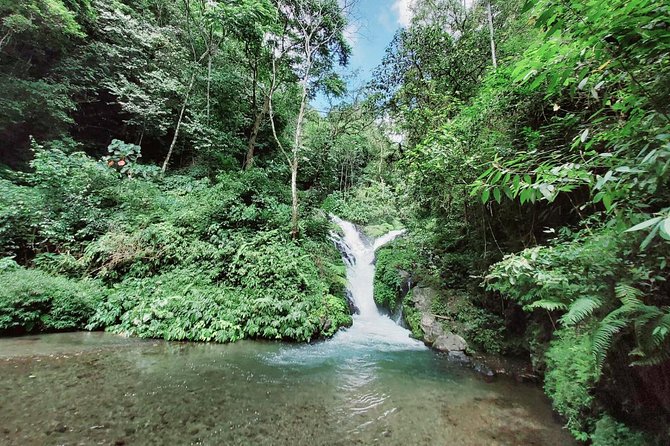 Bali Most Scenic Waterfalls Trekking - What this North Bali day is really like