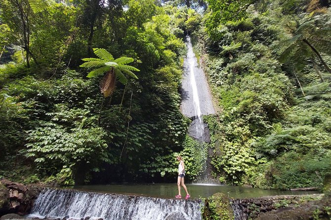 Bali Most Scenic Waterfalls Trekking - The waterfall route: Pucak Manik and Cemara