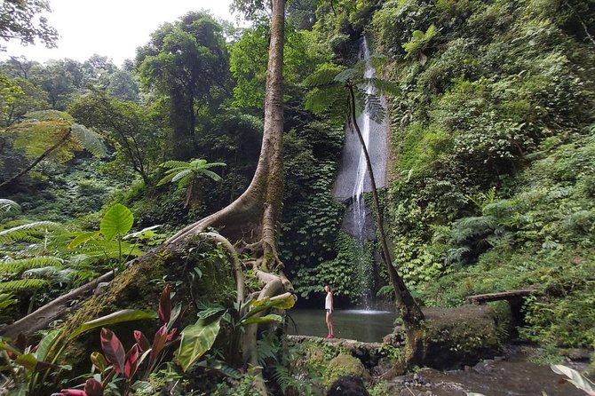 Bali Most Scenic Waterfalls Trekking - Celos and Spa waterfalls
