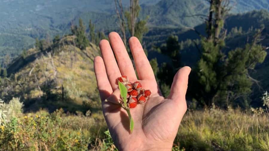 Bali: Mount Agung Sunrise Trekking Tour with Hotel Pickup - Clothing, supplies, and smart preparation