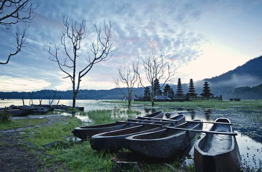 Bali: Munduk Waterfalls Trek, Twin Lakes and Temple Tour - The rainforest walk is the tour’s most personal part