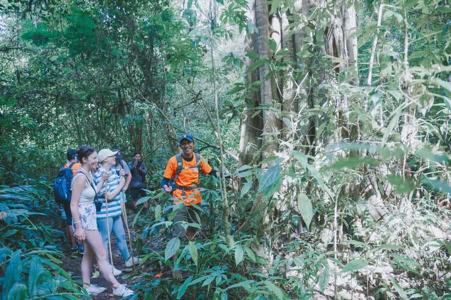 Bali: Munduk Waterfalls Trek, Twin Lakes and Temple Tour - Banyumala Twin Waterfall brings the biggest payoff