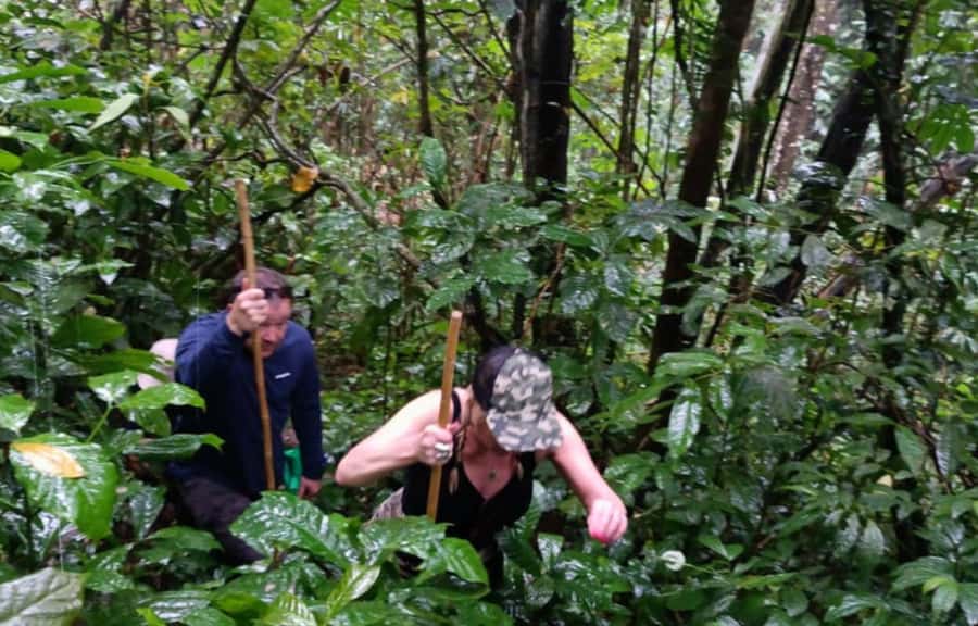 Bali’s Mystical Jungle Trek & Hidden Waterfall Adventure - Lunch, honey bees, and village life at Balikaru