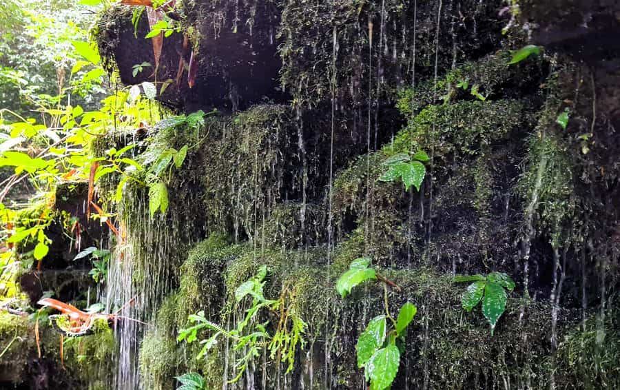 Bali’s Mystical Jungle Trek & Hidden Waterfall Adventure - Is the $86 price good value?