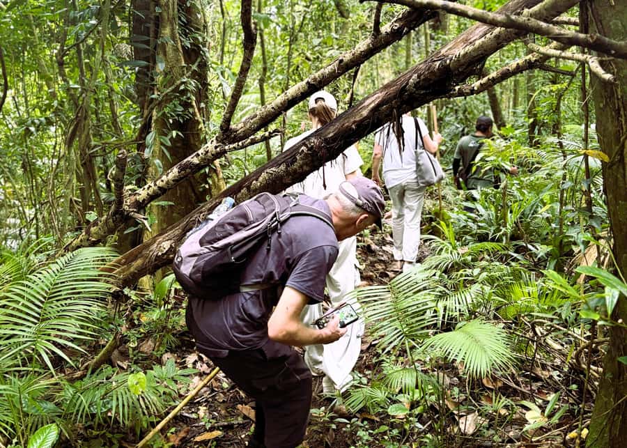 Bali’s Mystical Jungle Trek & Hidden Waterfall Adventure - Who should book this jungle adventure?