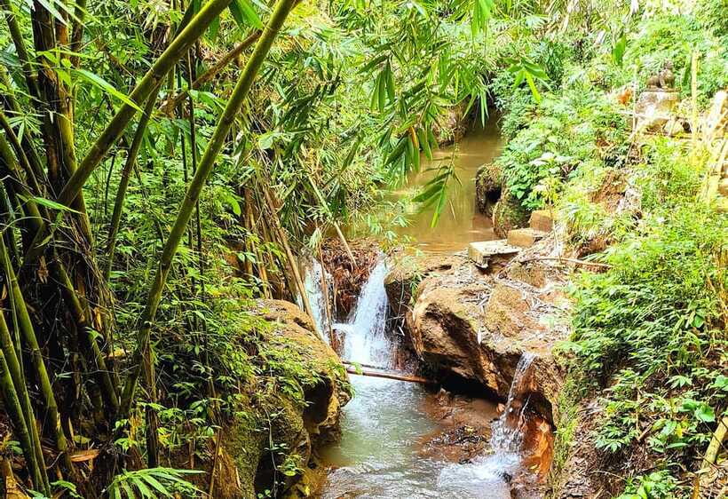 Bali’s Mystical Jungle Trek & Hidden Waterfall Adventure - Practical preparation for a better day