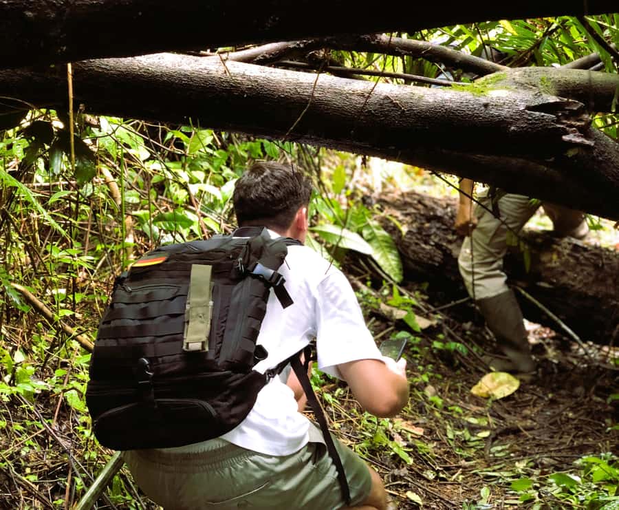 Bali’s Mystical Jungle Trek & Hidden Waterfall Adventure - The first walk through Tabanan’s mountain country