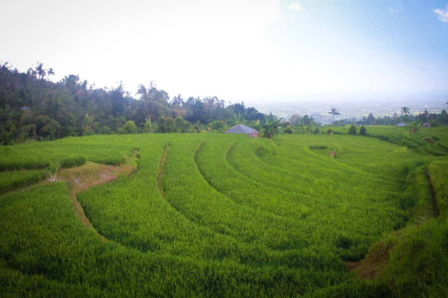 Bali: Sambangan Waterfalls Trekking, Sliding, & Jumping Trip - Blue Lagoon and Secret Garden: the quieter water stops