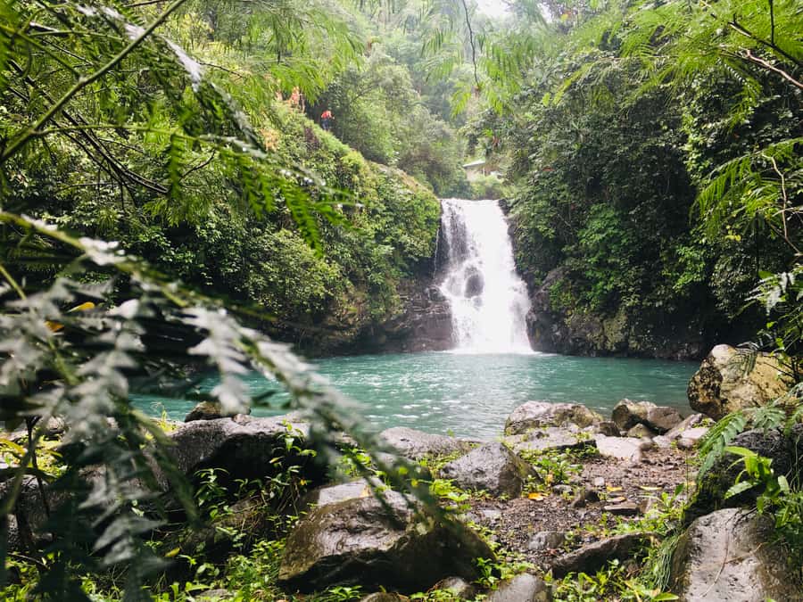 Bali: Sambangan Waterfalls Trekking, Sliding, & Jumping Trip - What the $69 price includes