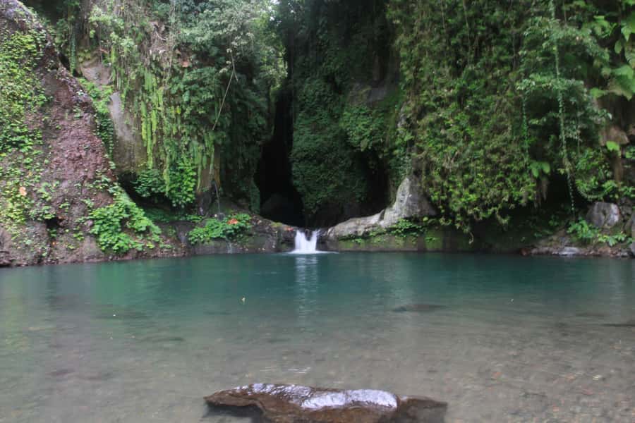 Bali: Sambangan Waterfalls Trekking, Sliding, & Jumping Trip - The walk through rice fields and tropical plantations