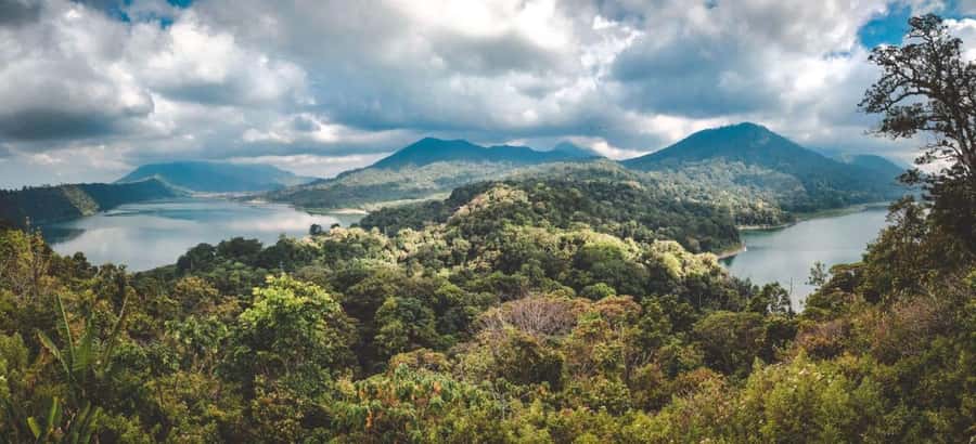 Bali: Sekumpul and Banyumala Waterfall Guided Trek - Key points before you book