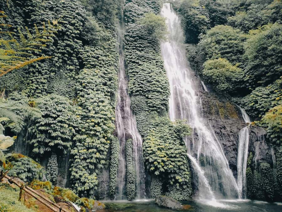 Bali: Sekumpul and Banyumala Waterfall Guided Trek - What the day is really like