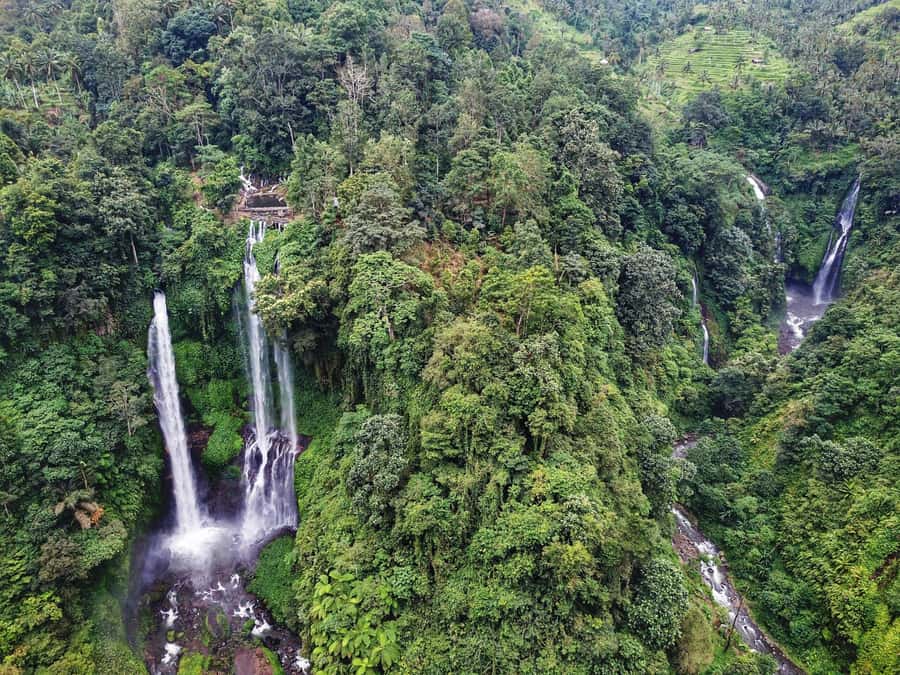 Bali: Sekumpul and Banyumala Waterfall Guided Trek - Walking through Sekumpul village rice fields