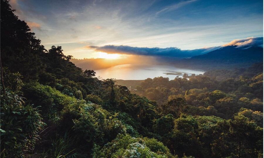 Bali: Twin Lakes, Handara Gates, and Forest Trekking Tour - Lunch, timing, and the ride back