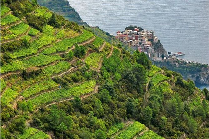BarCa Winery Cinqueterre Trekking & Wine Tasting & Pesto Class - A quiet corner above Manarola