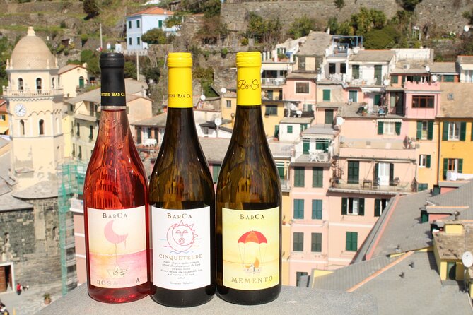 BarCa Winery Cinqueterre Trekking & Wine Tasting & Pesto Class - Walking the Manarola to Volastra vineyard path