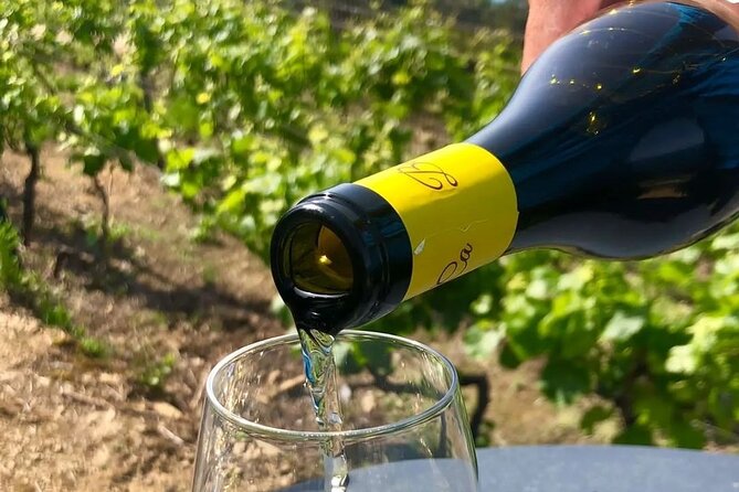 BarCa Winery Cinqueterre Trekking & Wine Tasting & Pesto Class - Starting in the cellar at Volastra