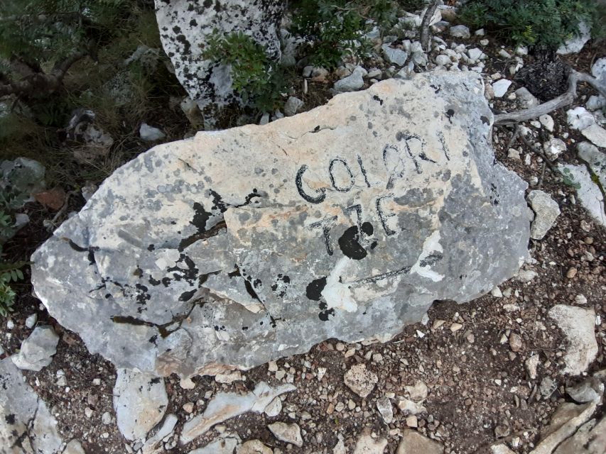 Baunei: Cala Goloritzè Trekking Tour with A Guide - Value compared with a boat excursion