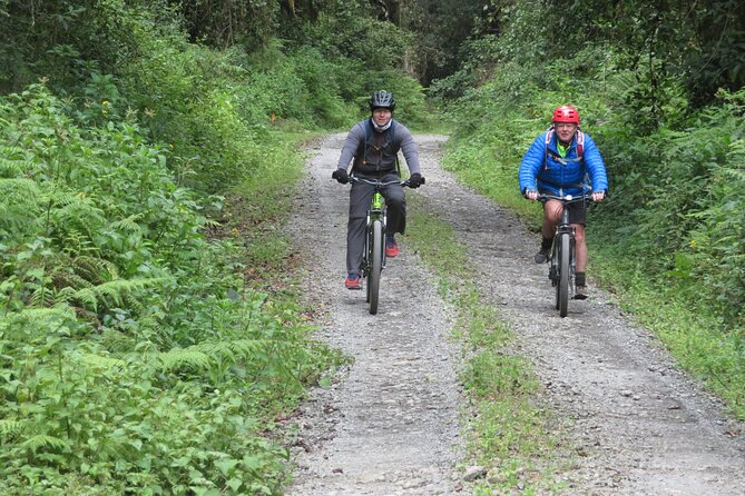 Best 5 Days Kilimanjaro Bike Trek Tour via Marangu Kilema Route - Day 4: Gilman’s Point, Uhuru Peak, and the long return