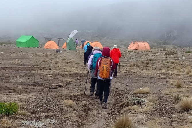 Best Kilimanjaro Adventure 7 days Machame route Trekking - What the seven-day Machame Route is really like