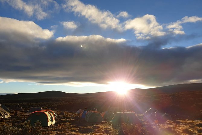 Best Kilimanjaro Adventure 7 days Machame route Trekking - Day seven: Mweka Camp to Moshi