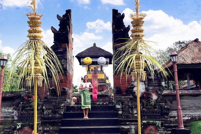 Best of Bali Water Temple and UNISCO Rice Terrace Trek - What the private transport adds