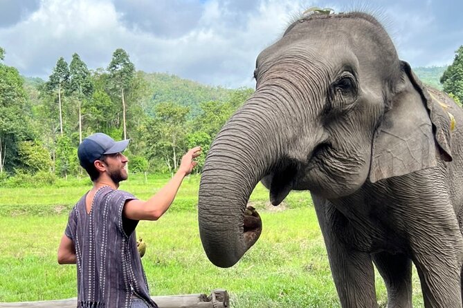 Best Seller | 2-Day Jungle Trek: Elephants, Raft & Karen Life - Elephant care at Maewang