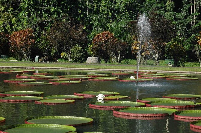 Bogor Botanical Garden & Rainforest Trekking to Hidden Waterfall - Key points to know before booking