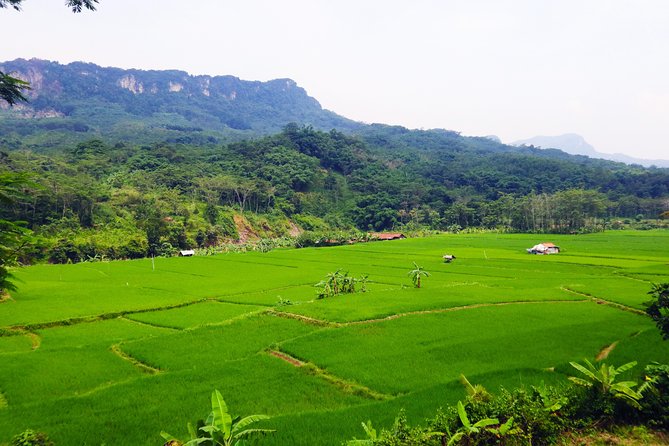 Bogor Botanical Garden & Rainforest Trekking to Hidden Waterfall - Bogor Botanical Garden and its 15,000 plant species