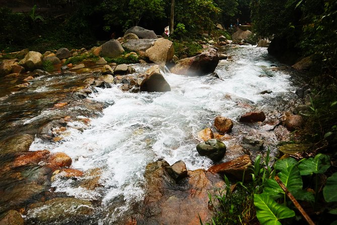 Bogor Botanical Garden & Rainforest Trekking to Hidden Waterfall - What the $95 price really covers