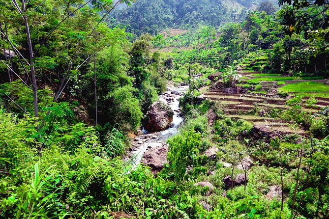 Bogor Botanical Garden & Rainforest Trekking to Hidden Waterfall - Timing, pace, and the long return to Jakarta