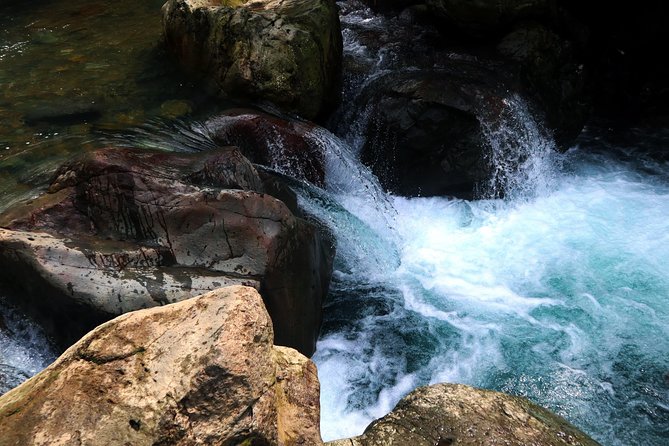Bogor Botanical Garden & Rainforest Trekking to Hidden Waterfall - Who will enjoy this Bogor day trip?