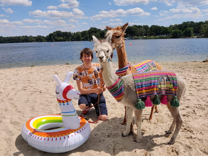 Braunschweig: Alpaca Trekking Tour - The Riddagshausen option and coffee break