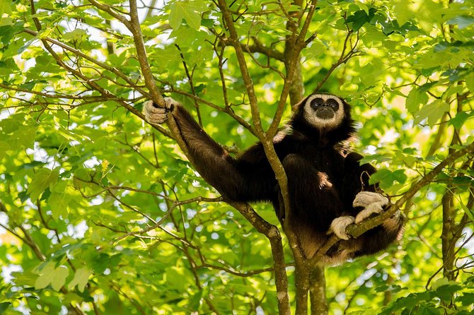 Bukit Lawang Full Day Jungle Trek - Walking back or tubing down the river