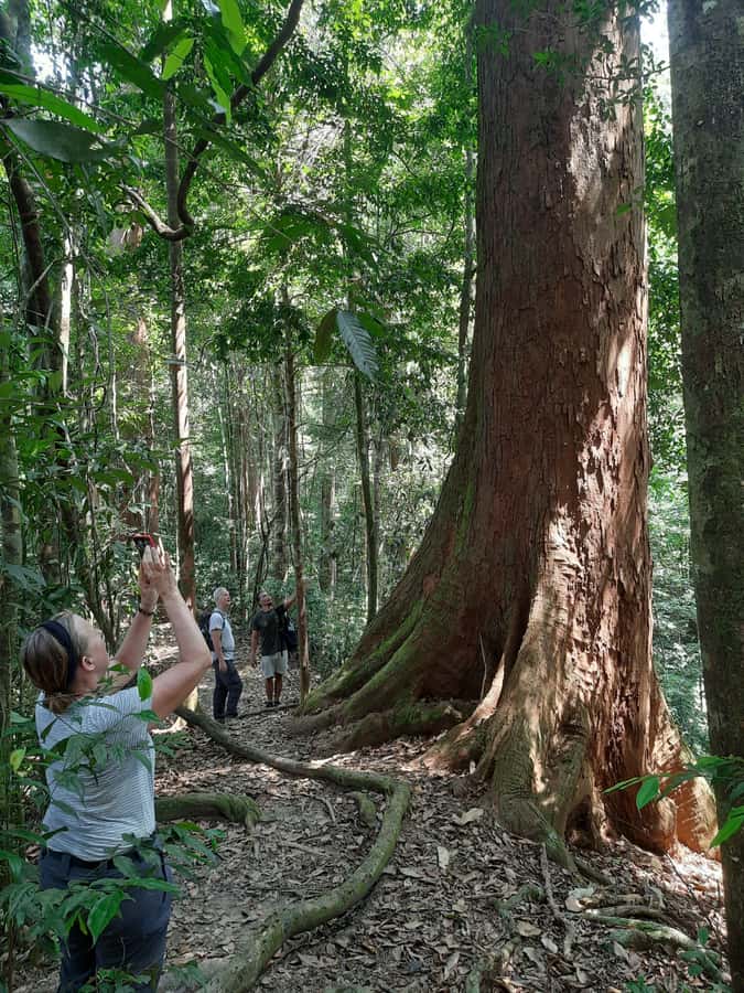 Bukit Lawang: Jungle Trekking and Rafting Day Trip - Key points to know before you book