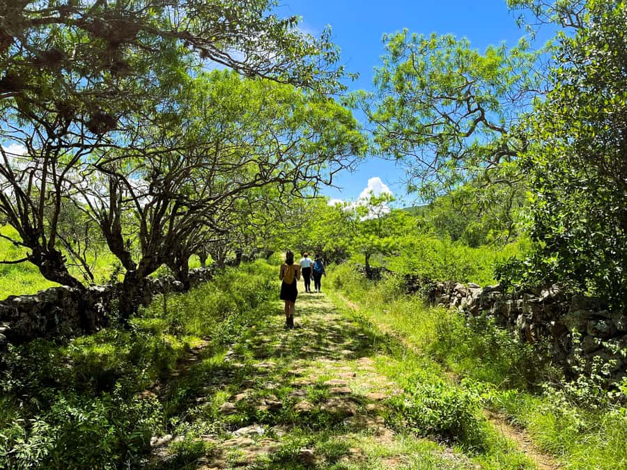 Camino Real: Barichara-Guane Trekking Tour + Paleontological Museum - The Mirador del Río Suárez and canyon views