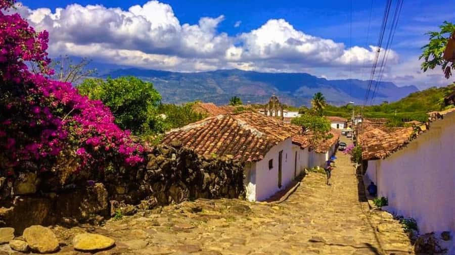 Camino Real: Barichara-Guane Trekking Tour + Paleontological Museum - The guide makes the difference