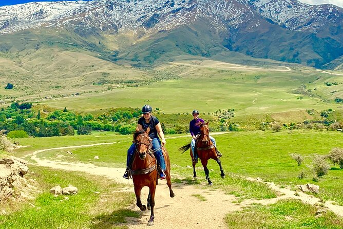 Cardrona High Country Pub Trail Horse Trek (Intermediate level+) - Riding from Cardrona into the high country