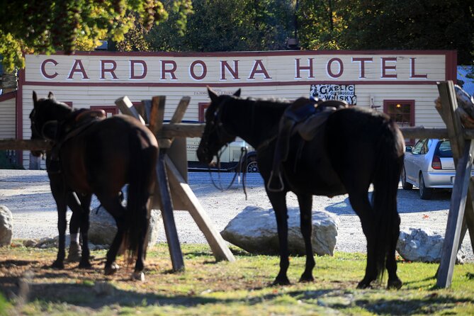 Cardrona High Country Pub Trail Horse Trek (Intermediate level+) - River crossings, cattle country, and open views