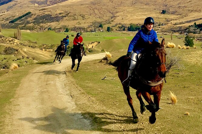 Cardrona High Country Pub Trail Horse Trek (Intermediate level+) - The return ride and chances to canter