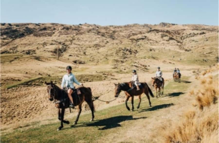 Cardrona Valley: Horse Trekking Experience - Two Trail Styles, Two Different Experiences